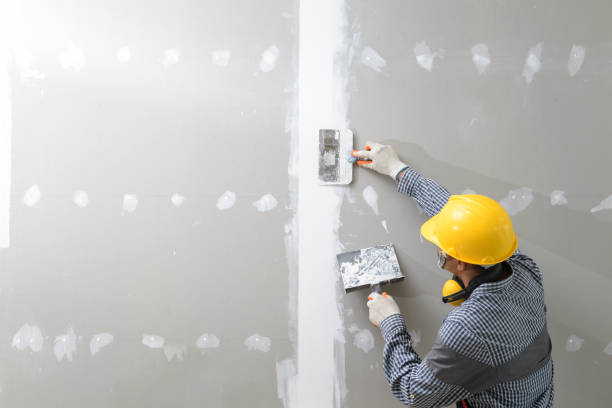 Best Drywall Texturing  in Mendota, CA